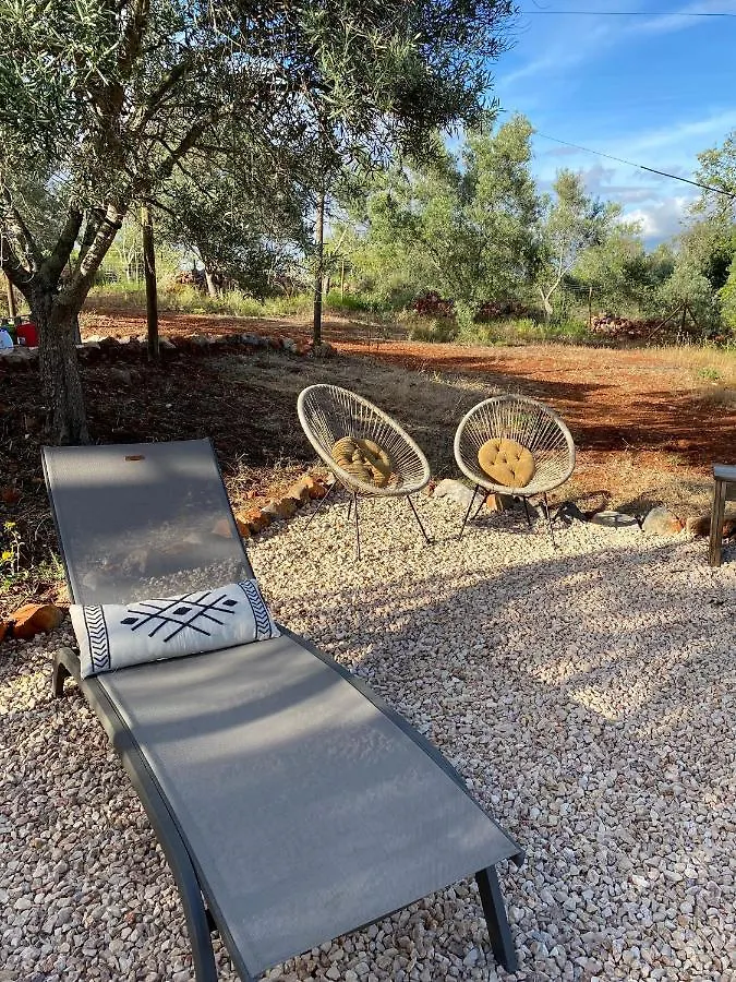 Camping Algarve Olive Tree Lodge Nora  Portugal