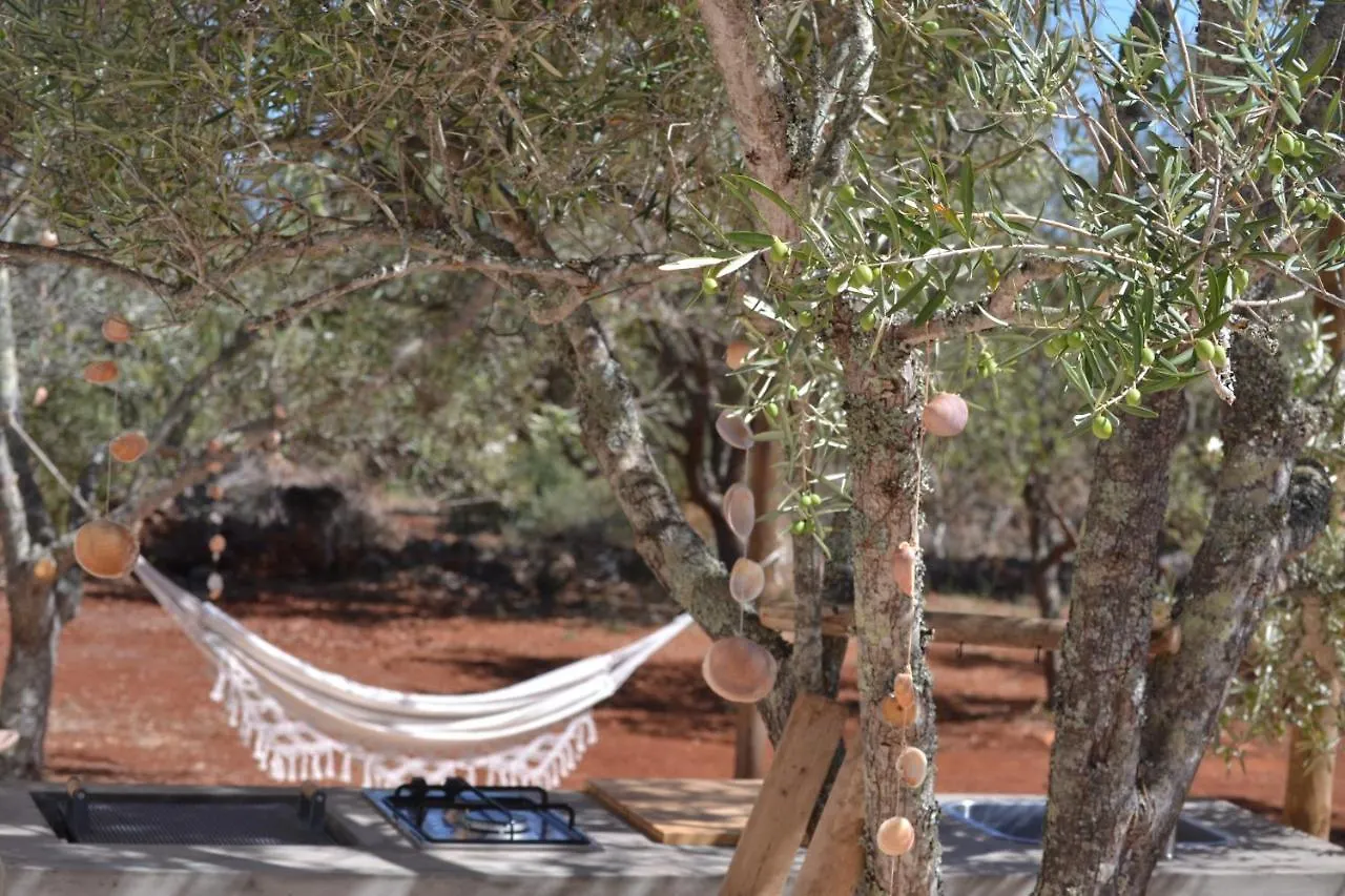 Algarve Olive Tree Lodge Nora  Camping Nora (Barlavento)