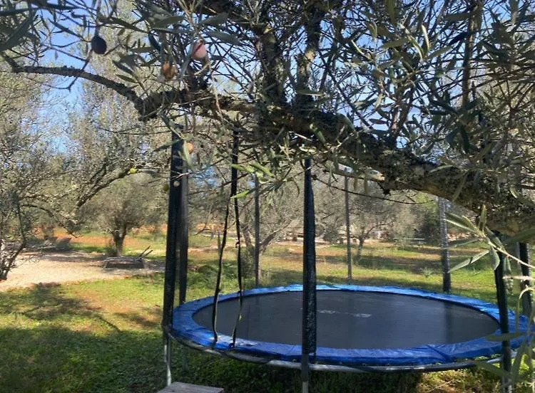 Camping Algarve Olive Tree Lodge Nora