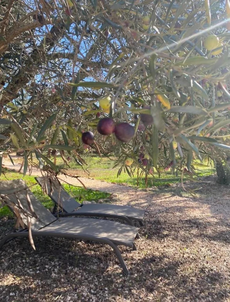 Camping Algarve Olive Tree Lodge Nora