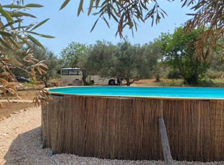 Algarve Olive Tree Lodge Nora  Portugal