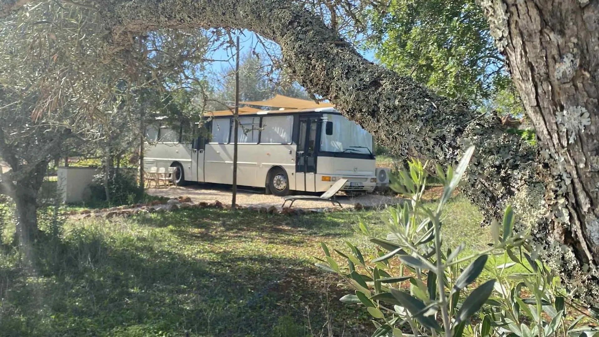 Algarve Olive Tree Lodge Nora  Portugal