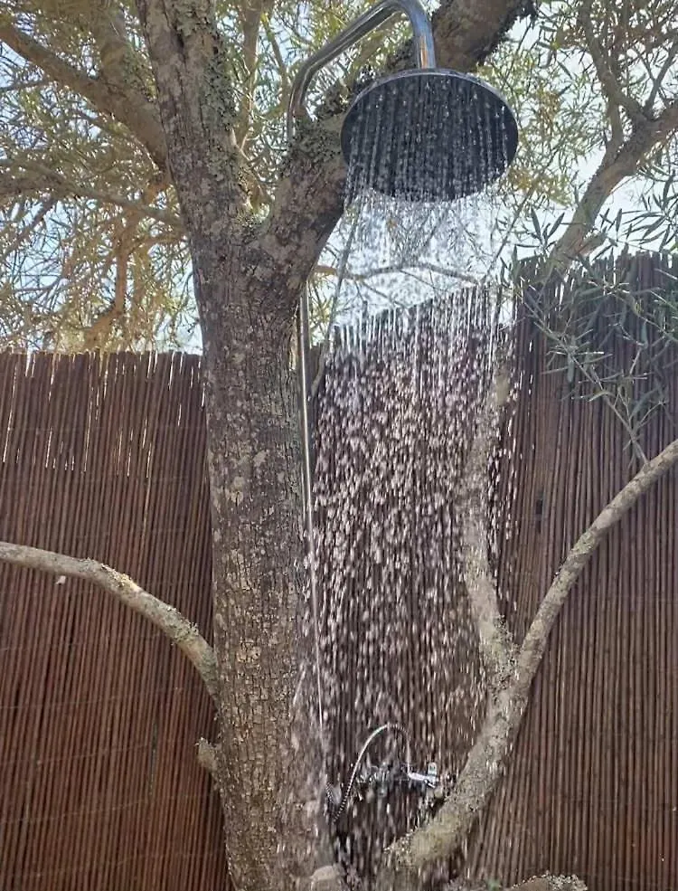 Algarve Olive Tree Lodge Nora  Portugal