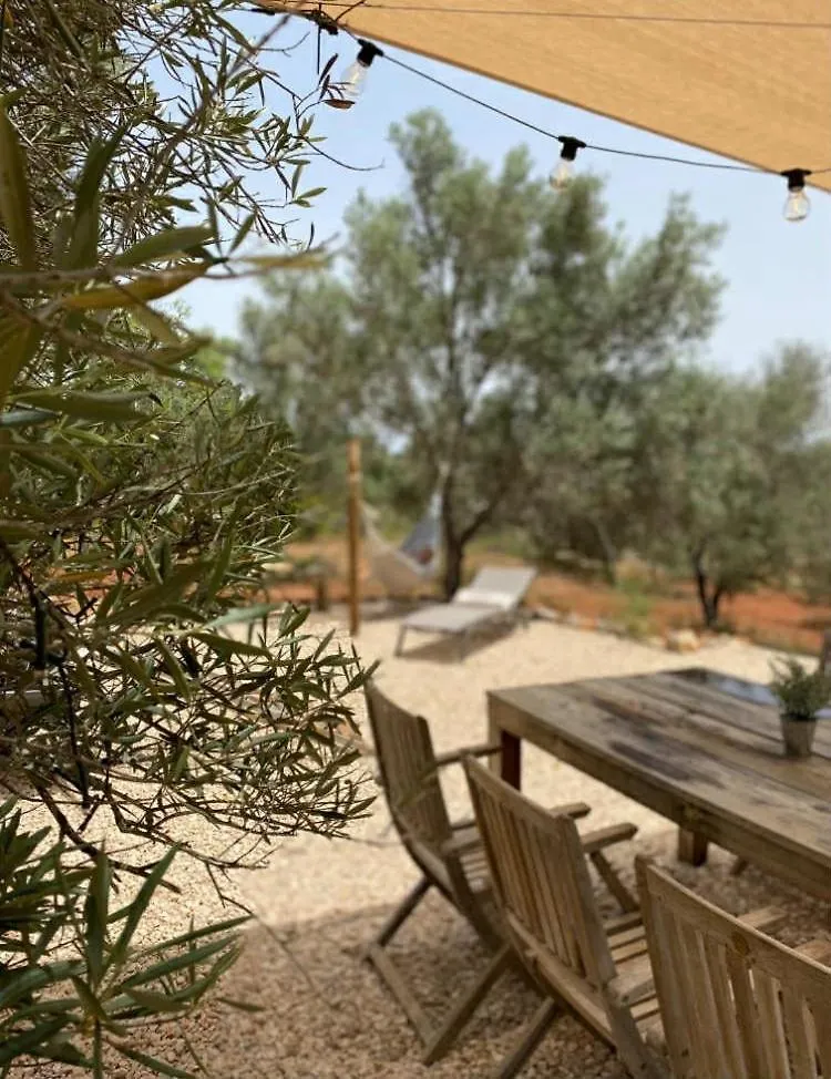Campsite Algarve Olive Tree Lodge Nora  Portugal